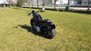 Harley-Davidson 1584 Cross Bones (2008 - 11) - FLSTSB  (2)