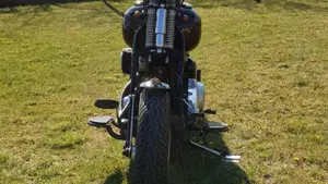 Harley-Davidson 1584 Cross Bones (2008 - 11) - FLSTSB  (4)