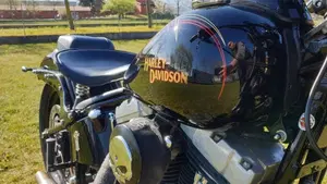 Harley-Davidson 1584 Cross Bones (2008 - 11) - FLSTSB  (5)