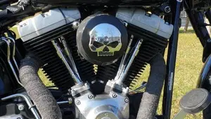 Harley-Davidson 1584 Cross Bones (2008 - 11) - FLSTSB  (7)