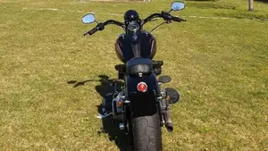 Harley-Davidson 1584 Cross Bones (2008 - 11) - FLSTSB  (8)