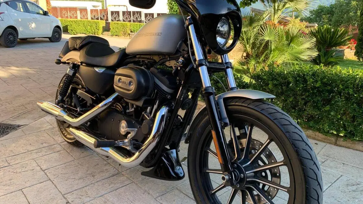 Harley-Davidson 883 Iron (2009 - 11) - XL 883N  (8)