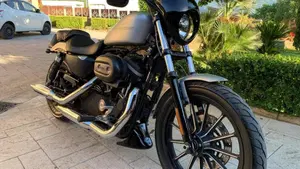 Harley-Davidson 883 Iron (2009 - 11) - XL 883N  (8)