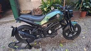 Benelli Leoncino 125 (2022 - 25) 