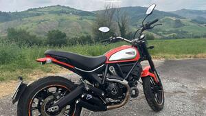 Ducati Scrambler 800 Icon (2017 - 20) 