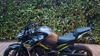 Kawasaki Z 900 (2020)