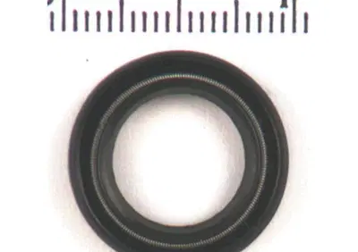 Guarnizione paraolio alberino - Annuncio 8553017