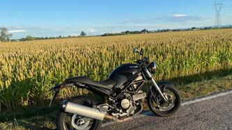 Ducati Monster 695 (2006 - 08) usata