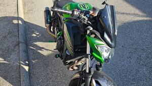 Kawasaki Z 650 Performance (2019 - 20) 