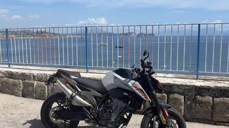 KTM 790 Duke L (2023 - 24) usata