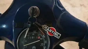 Vespa   (4)