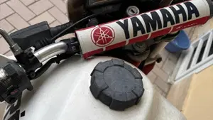 Yamaha   (2)