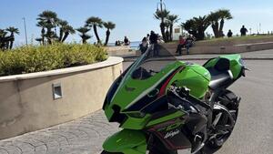 Kawasaki Ninja 1000 ZX-10R (2021 - 25) 