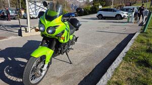 Triumph Tiger 955 (2002 - 06) 