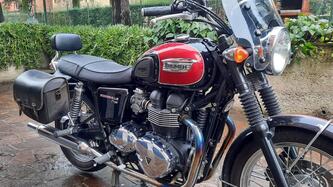 Triumph Bonneville T100 (2008 - 16) usata