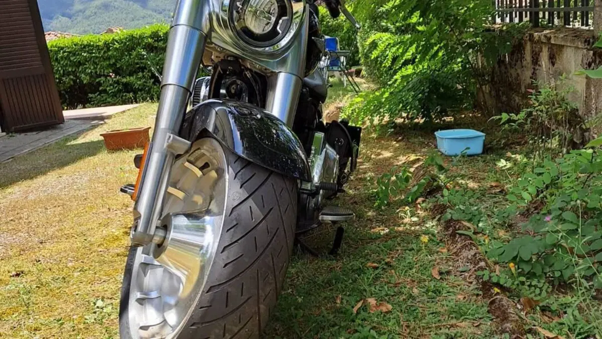 Harley-Davidson 114 Fat Boy (2018 - 20) - FLFBS  (4)