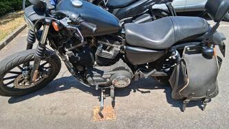 Harley-Davidson 883 Iron (2014 - 16) - XL 883N usata