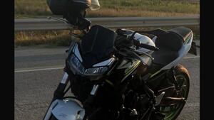 Kawasaki Z 650 (2021 - 24) 