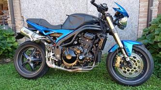 Triumph Speed Triple 1050 (2005 - 11) usata