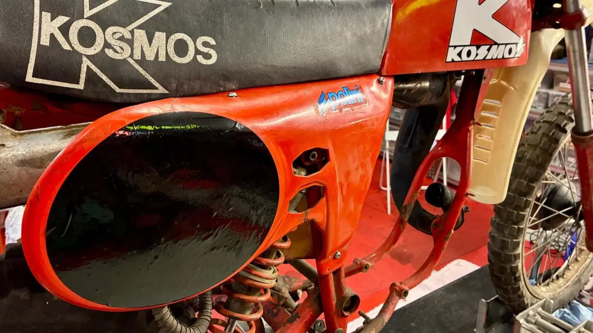 Kosmos   (7)