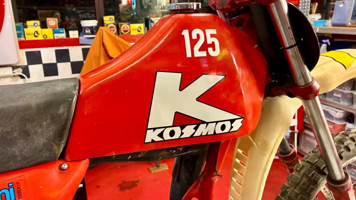 Kosmos   (8)