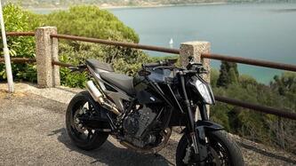 KTM 790 Duke L (2023 - 24) usata