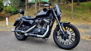 Harley-Davidson XL 1200 CX Roadster (2016 - 18) 