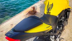 Honda CB 750 Hornet (2023 - 24) 