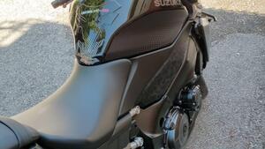 Suzuki GSX-S1000 (2021 - 25) 