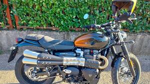 Triumph Scrambler 900 Stealth Edition (2024) 