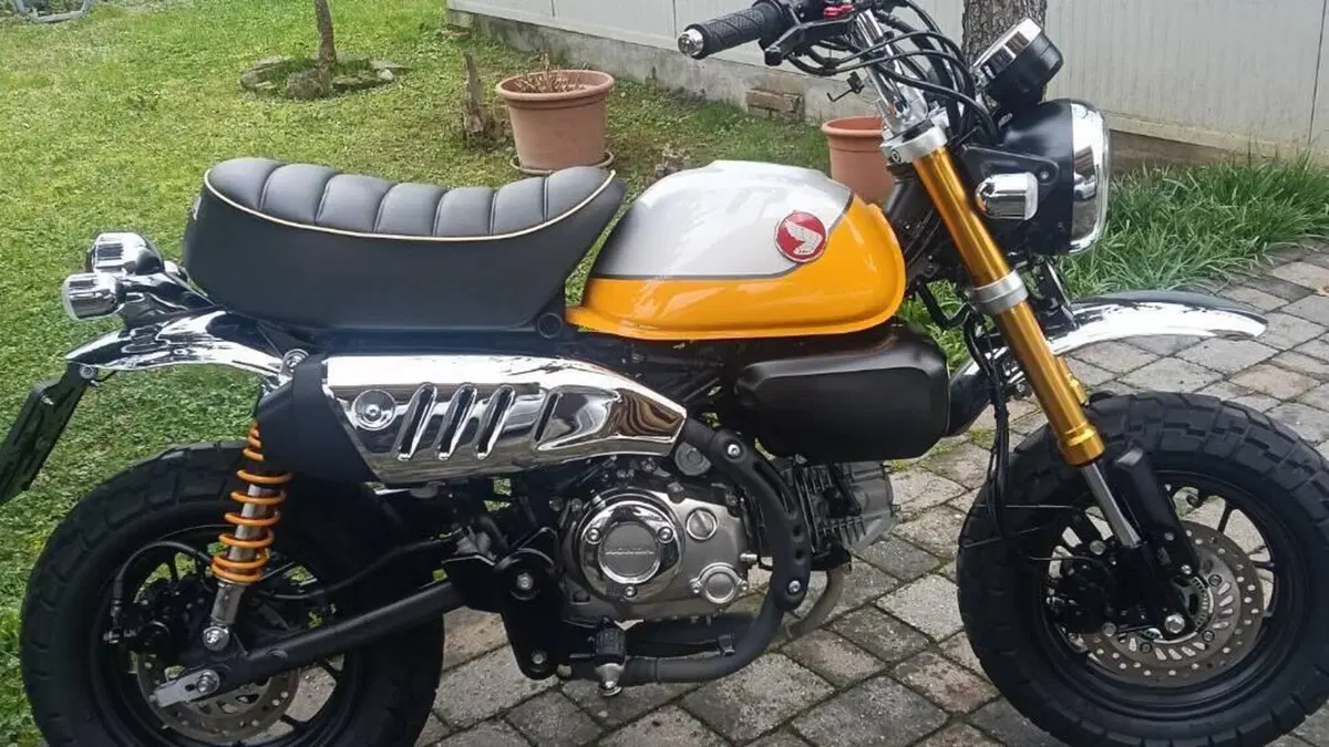 Honda Monkey 125 (2022 - 24)  (3)