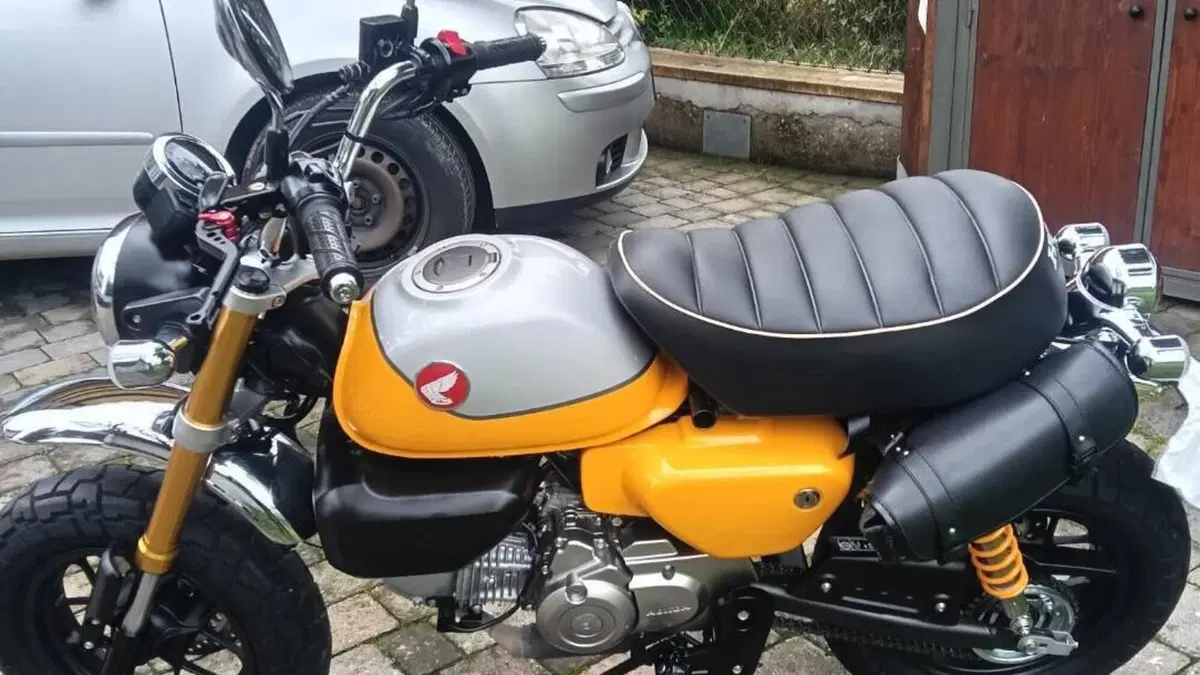 Honda Monkey 125 (2022 - 24)  (6)