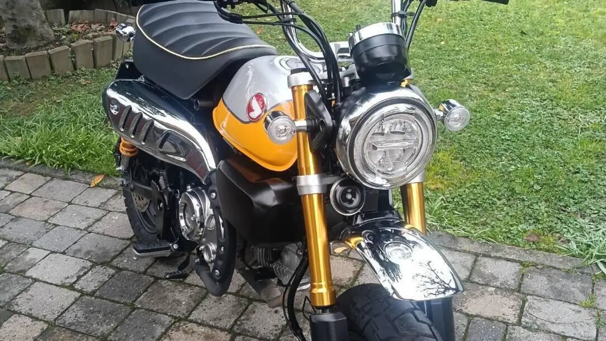 Honda Monkey 125 (2022 - 24) 