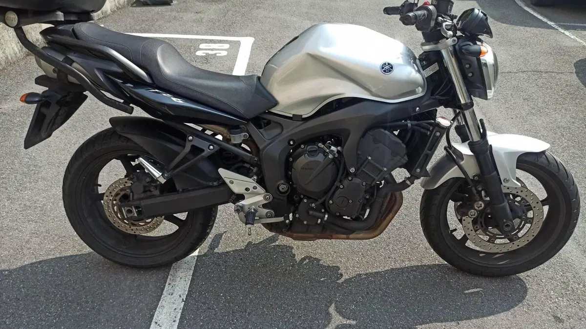 Yamaha FZ6 S2 (2007 - 11)  (7)