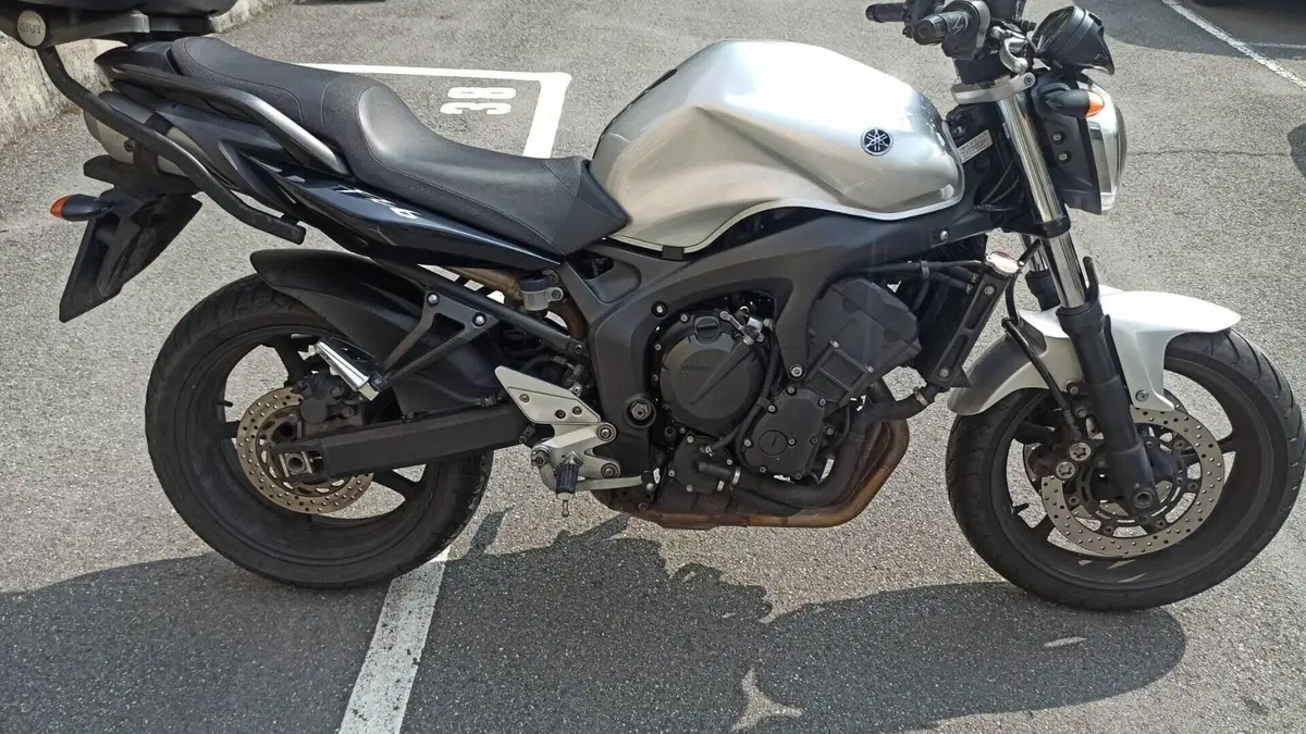 Yamaha FZ6 S2 (2007 - 11)  (8)