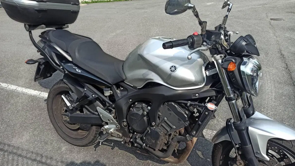 Yamaha FZ6 S2 (2007 - 11)  (13)
