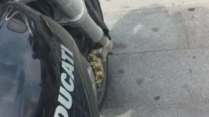 Ducati   (4)