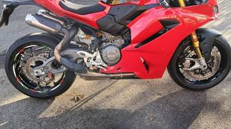 Ducati Panigale V2 (2025 - 26) usata