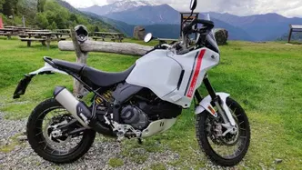 Ducati DesertX (2022 - 25) usata