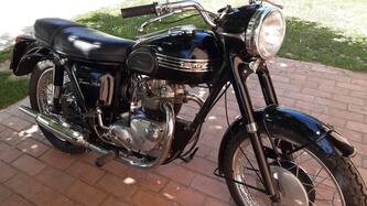 Triumph TigerT100ss epoca