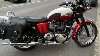 Triumph Bonneville T100 (2008 - 16) usata