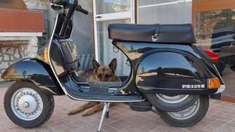 Piaggio Vespa 125 PX usata