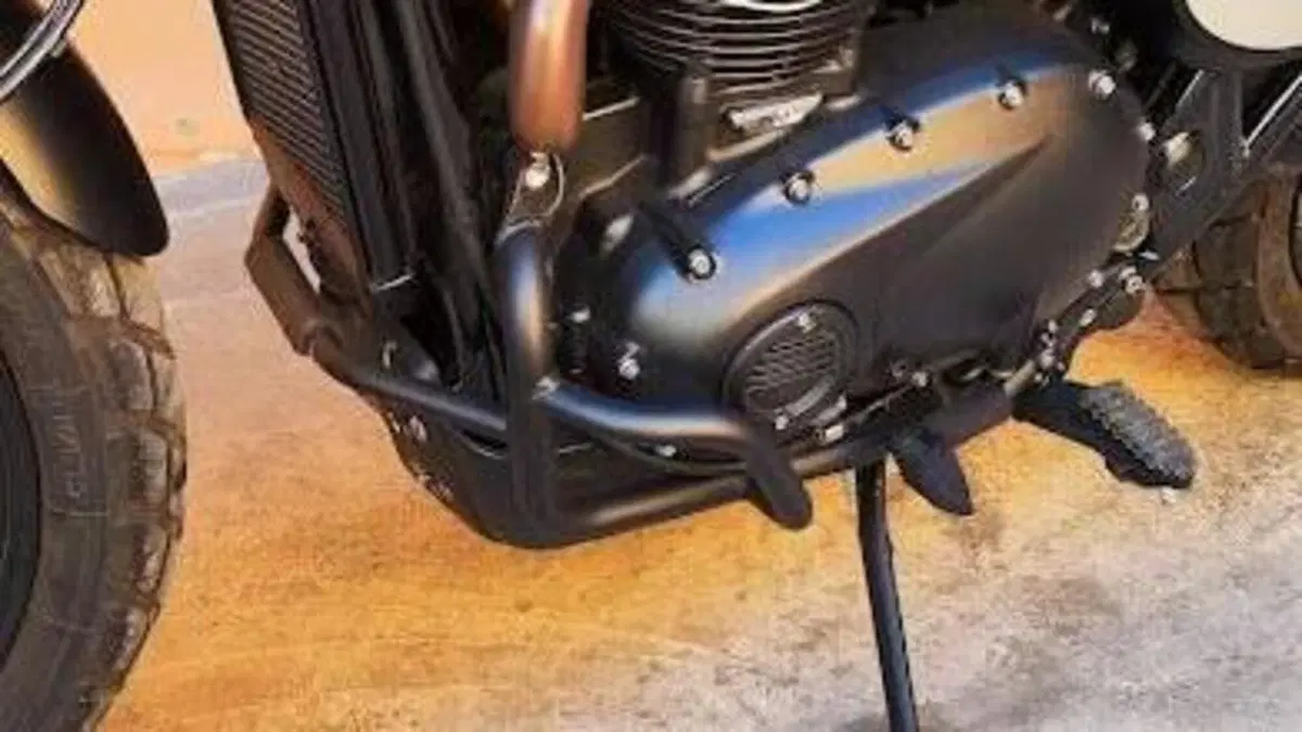 Triumph Street Scrambler 900 Gold Line Edition (2021 - 23)  (3)