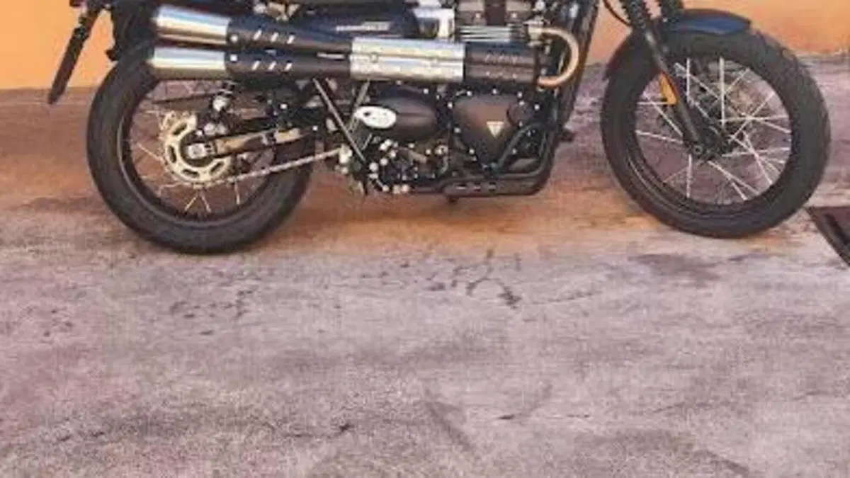 Triumph Street Scrambler 900 Gold Line Edition (2021 - 23)  (5)
