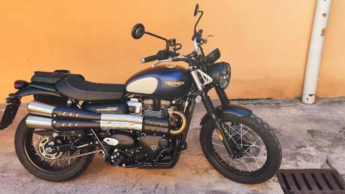 Triumph Street Scrambler 900 Gold Line Edition (2021 - 23)  (6)