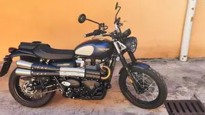 Triumph Street Scrambler 900 Gold Line Edition (2021 - 23)  (6)
