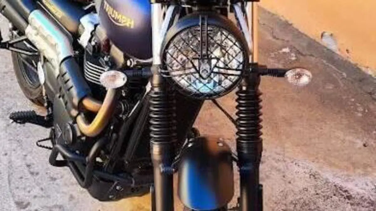Triumph Street Scrambler 900 Gold Line Edition (2021 - 23)  (8)
