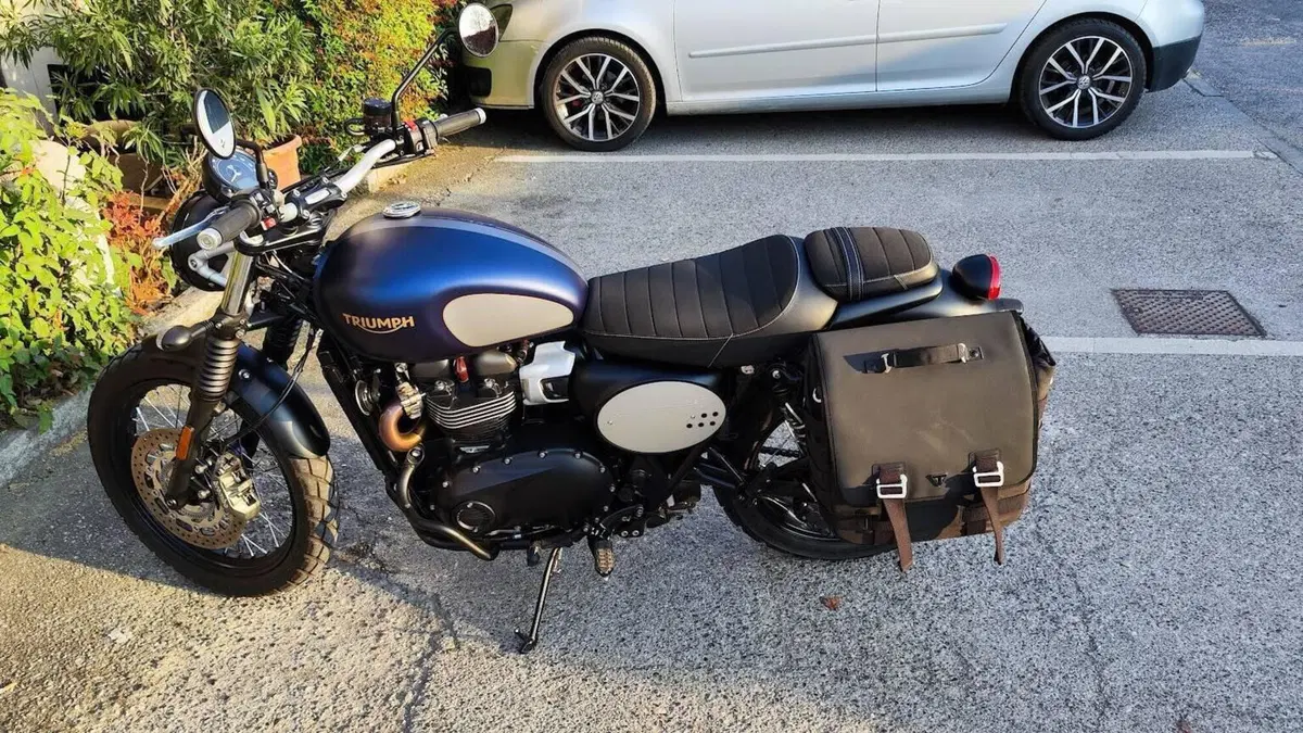 Triumph Street Scrambler 900 Gold Line Edition (2021 - 23)  (12)