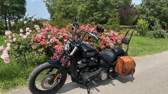 Harley-Davidson 107 Street Bob (2018 - 20) - FXBB usata