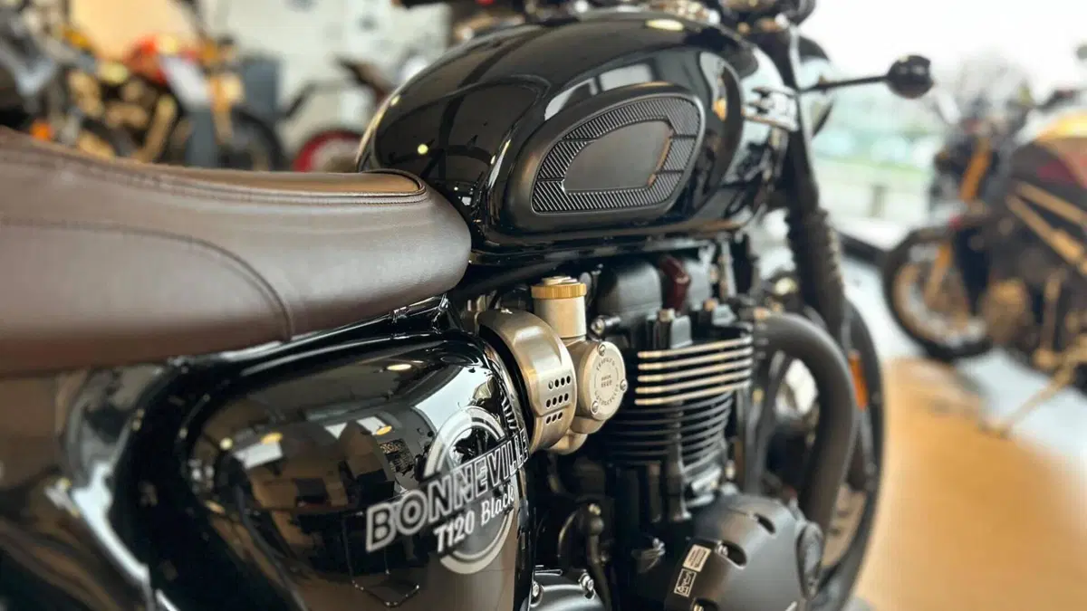 Triumph Bonneville T120 Black (2026)  (6)